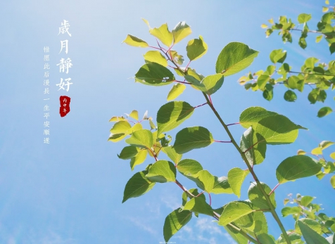 愿歲月靜好，山河無(wú)恙